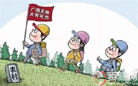 農村現在干什么賺錢?老王返鄉創業，年入百萬，他是怎么做的? 第2張