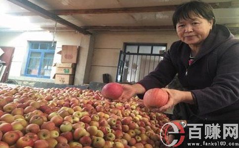 河南創(chuàng)業(yè)項目:當下最簡單，任何人都可操作的賺錢項目